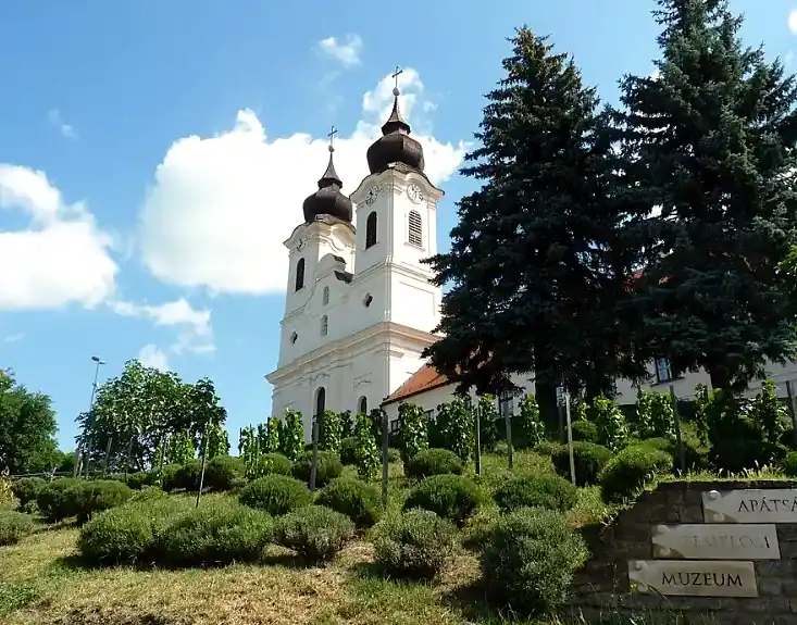 Levendulás és szőlősor, a háttérben a tihanyi apátság tornyai